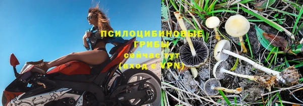 прущая мука Ростов