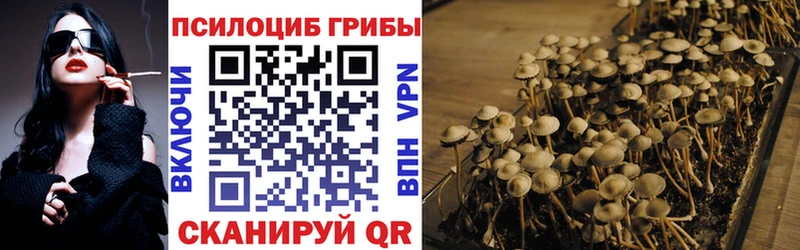 blacksprut зеркало  Долинск  Галлюциногенные грибы мухоморы 